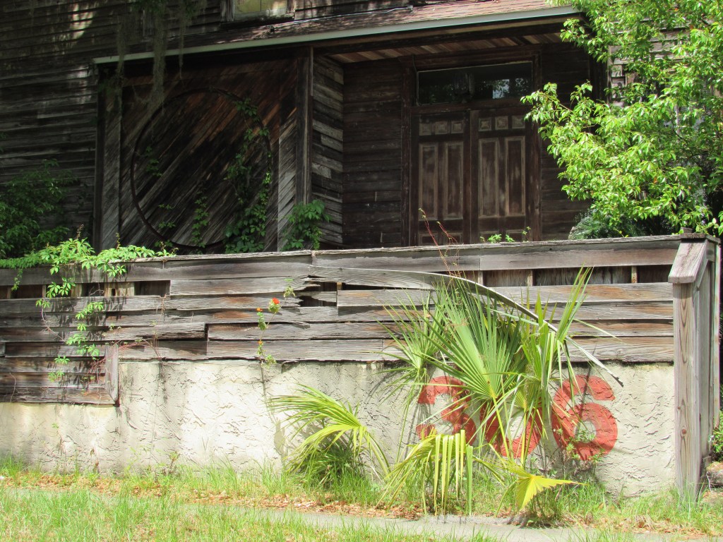 Beauty Comes With Age —