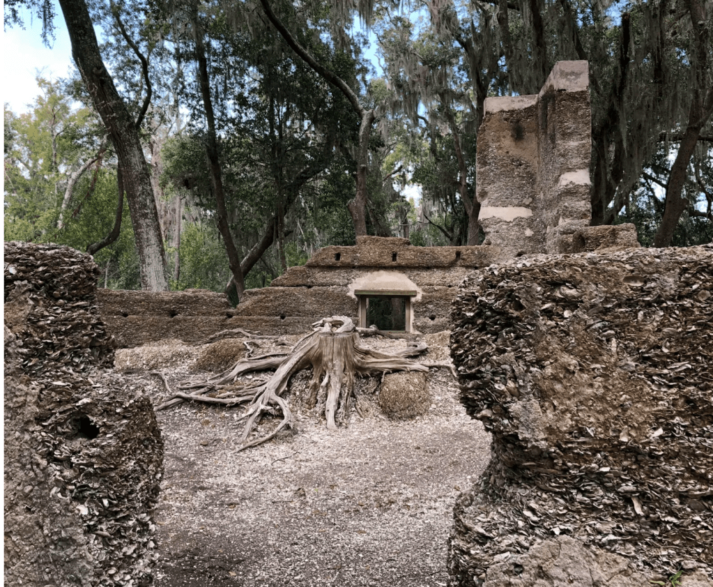A Tree Finds Its Way Into An Old House
